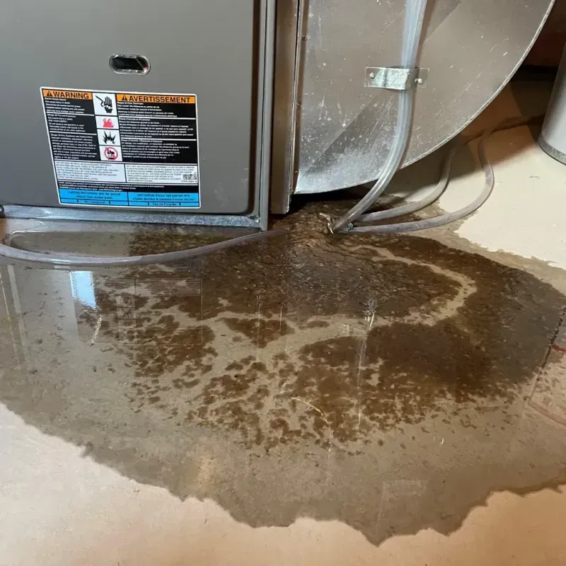 Appliance Leak Cleanup in Bluefield, WV